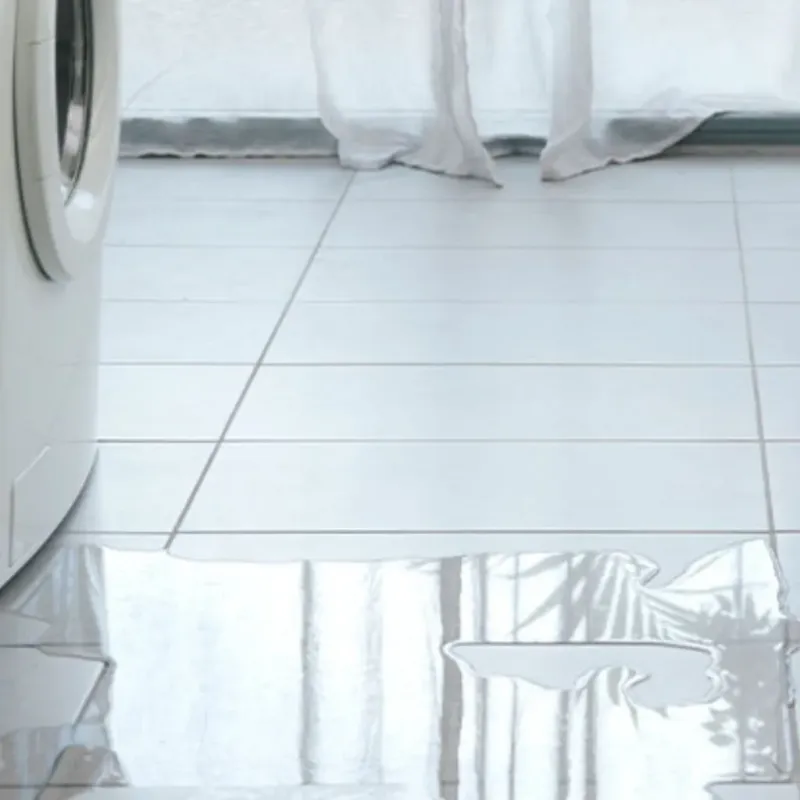 Appliance Leak Cleanup in Evanston, IL