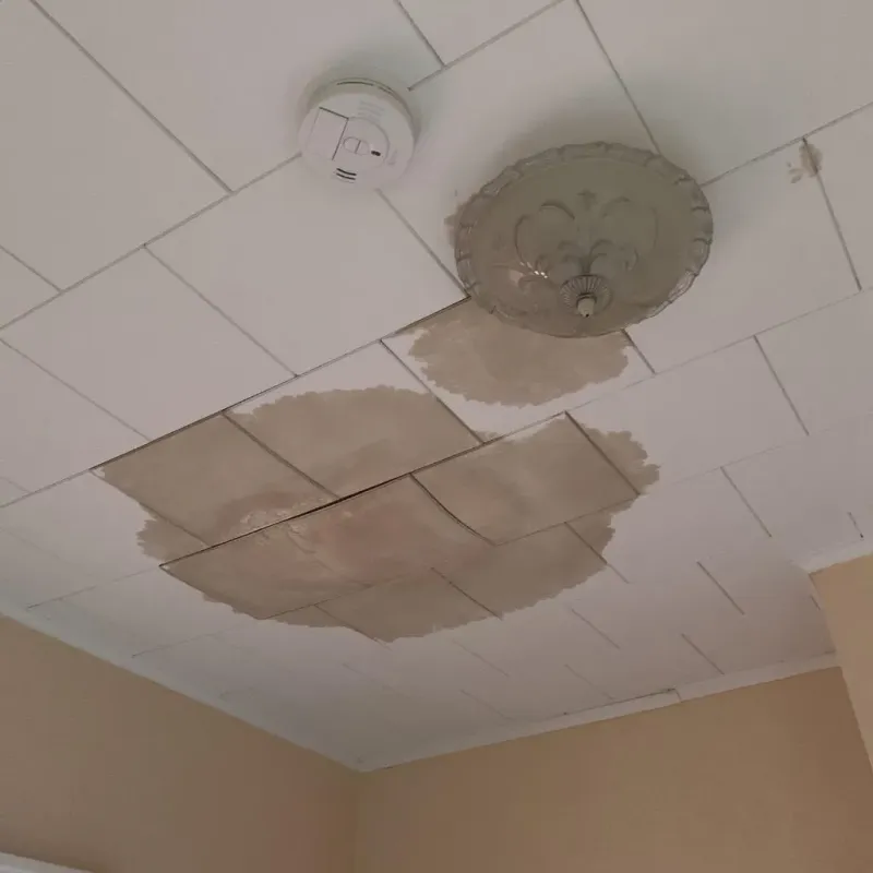 Ceiling Water Damage Repair in Evanston, IL